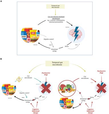 Diet quality and anxiety: a critical overview with focus on the gut microbiome